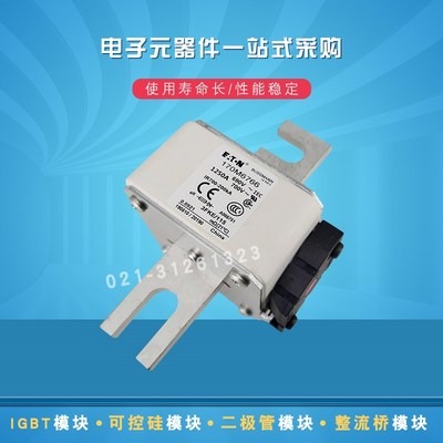 170M6764 6765 6766 6768 6769 6770 6771 6775 6776快速熔断器现