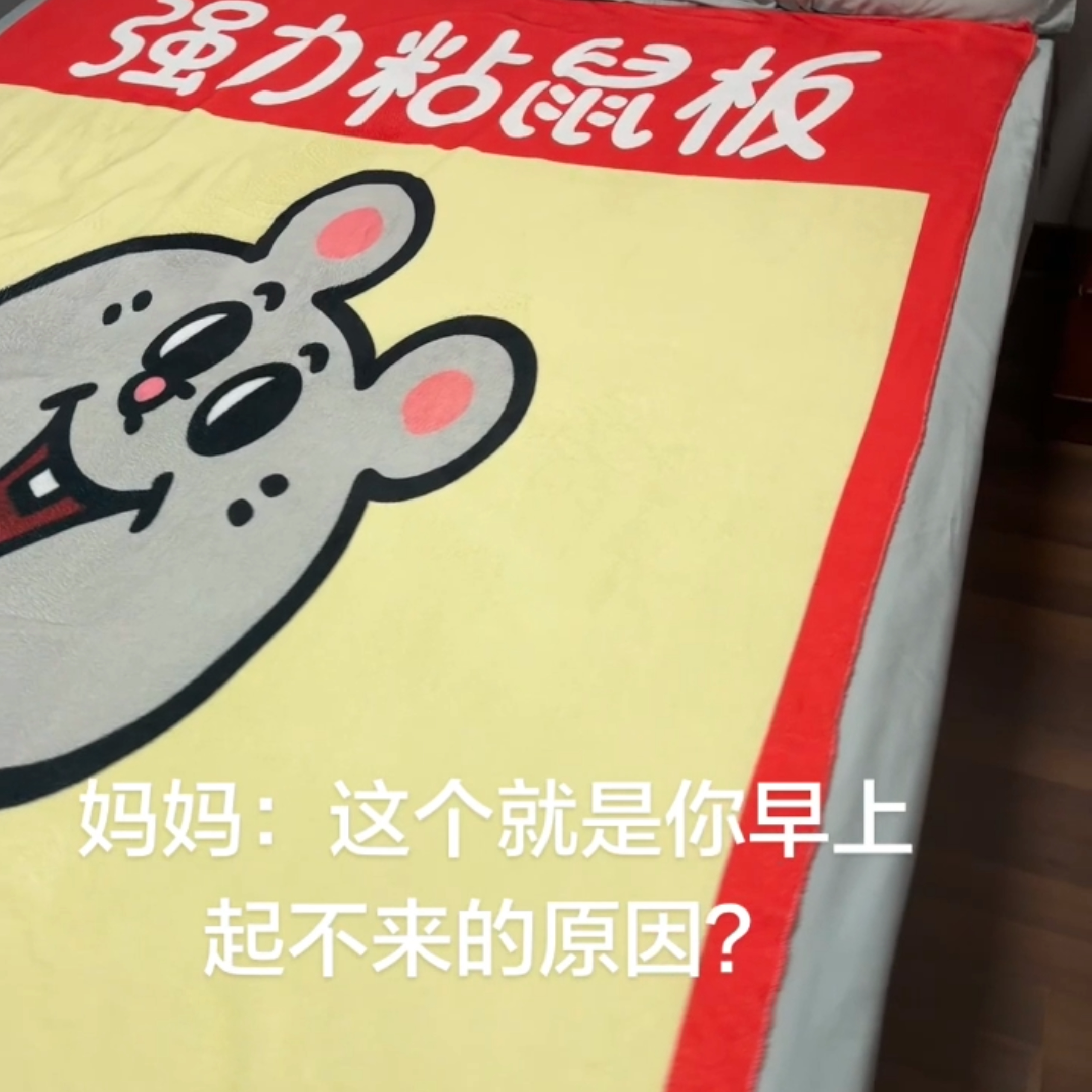 粘鼠板法兰绒毯子四季通用保暖宿舍学生单人盖毯个性创意毛毯