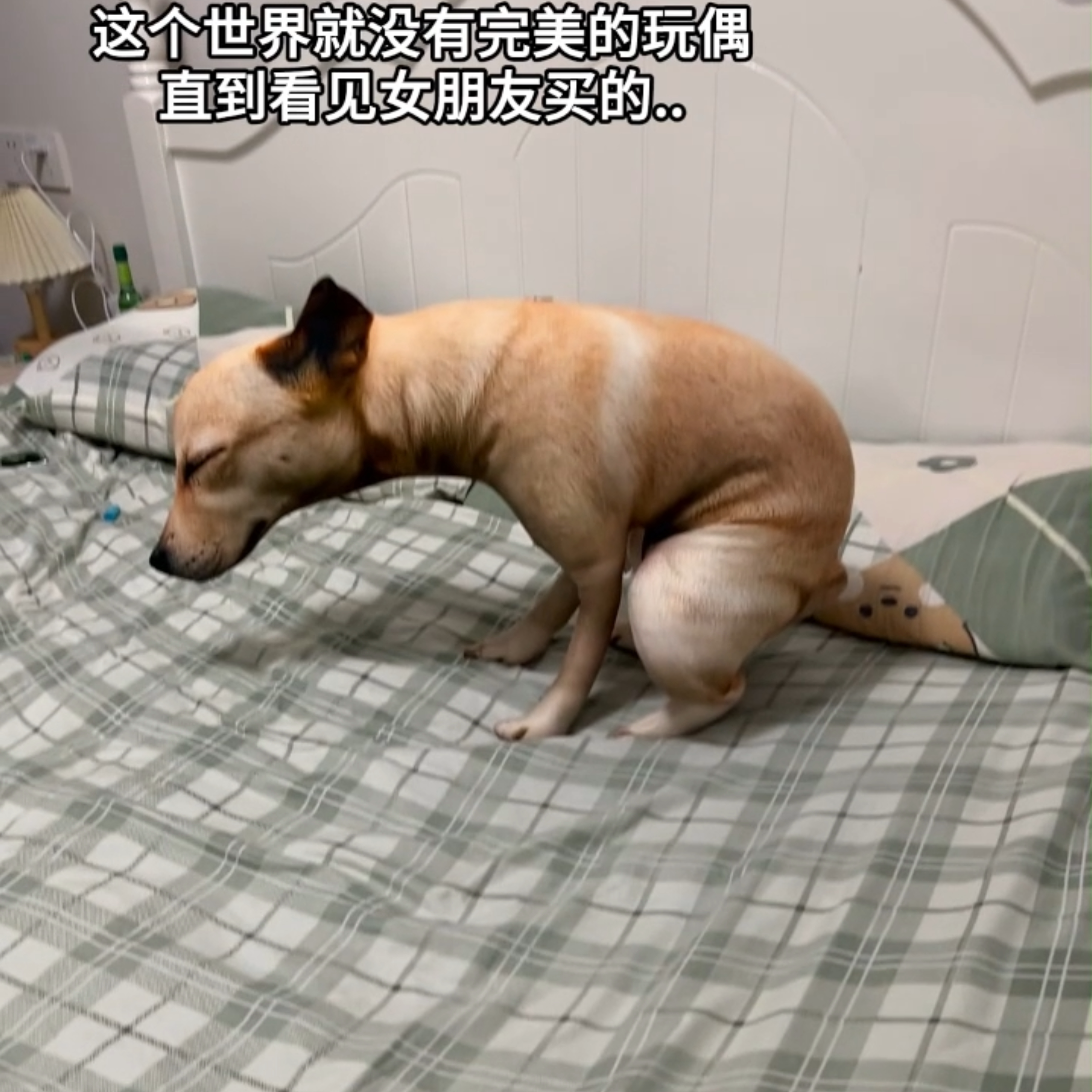 新品抽象搞怪萌趣嗯嗯狗狗抱枕拉屎狗仿真小狗可爱家居摆件玩偶狗