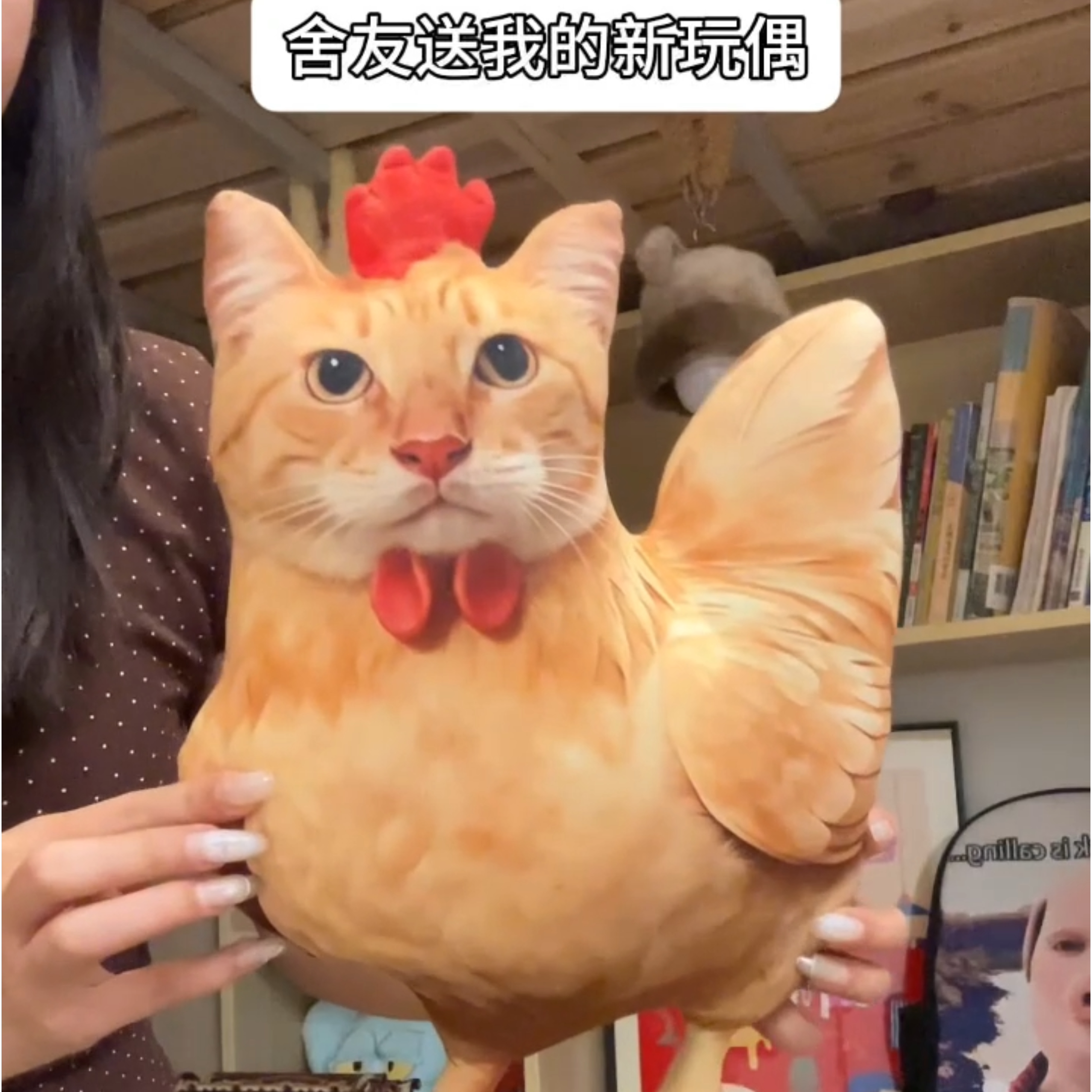 仿真哈鸡咪毛绒玩具3D靠垫可爱小鸡挂件玩偶抱枕女生儿童搞怪礼物