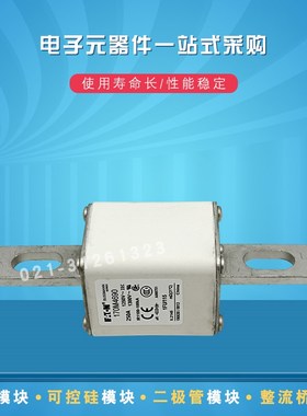 巴斯曼熔断器保险丝170M4690 4691 4692 4693 4694 4695 4696全新