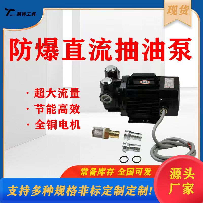 汽油防爆抽油泵12V24V220V车载加油机导油泵耐腐蚀油泵超静音