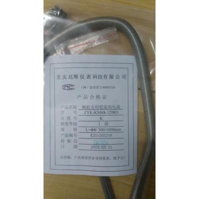 重庆廷辉仪表 燃机专用铠装热电偶 RJKW-8F150-20-16