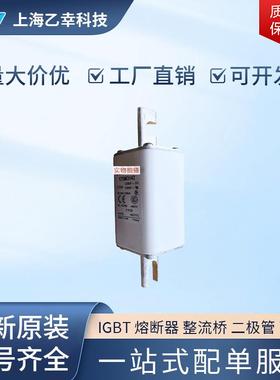 巴斯曼熔断器 170M3308 170M3309 170M3310 170M3311 170M3312