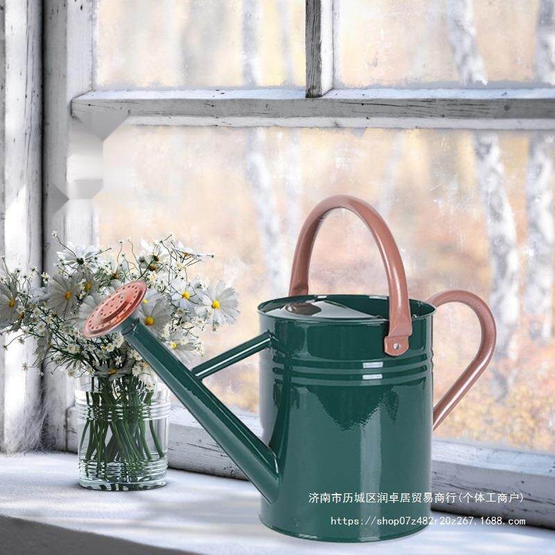 欧美高品质洒水壶浇花壶两用4L其他旭专