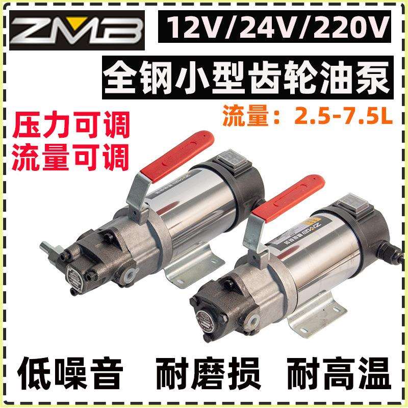 小型直流电机油泵12V/24V220V 齿轮油泵电动摆线泵抽液压油减速机图片