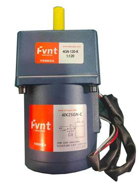 FVNT方特25W交流定速电机马达4IK25GN-C/4GN120K 4GN180K 单相220