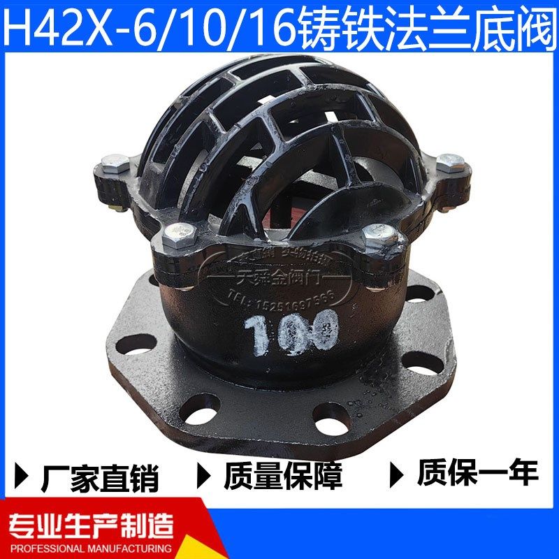 H42X-6/10/16铸铁法兰底阀单向阀止回阀逆止阀抽水泵吸水底阀