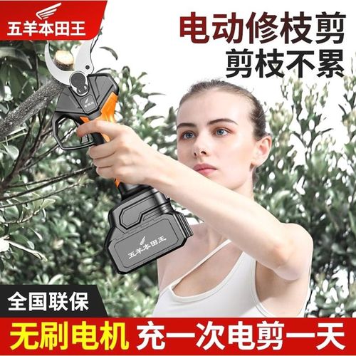 德国进口日本进口电动剪枝剪刀果树修枝剪充电式强力园林锂电剪刀