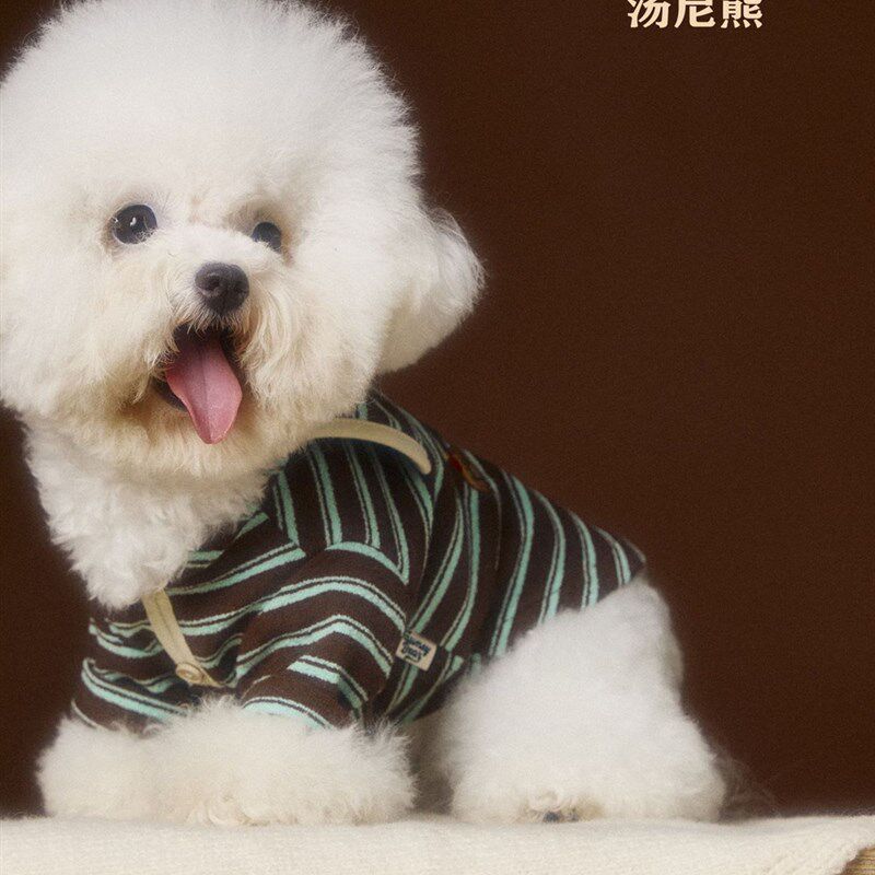 汤尼熊小狗狗衣服秋冬款t条纹卫衣雪纳瑞比熊博美马尔济斯腊肠猫