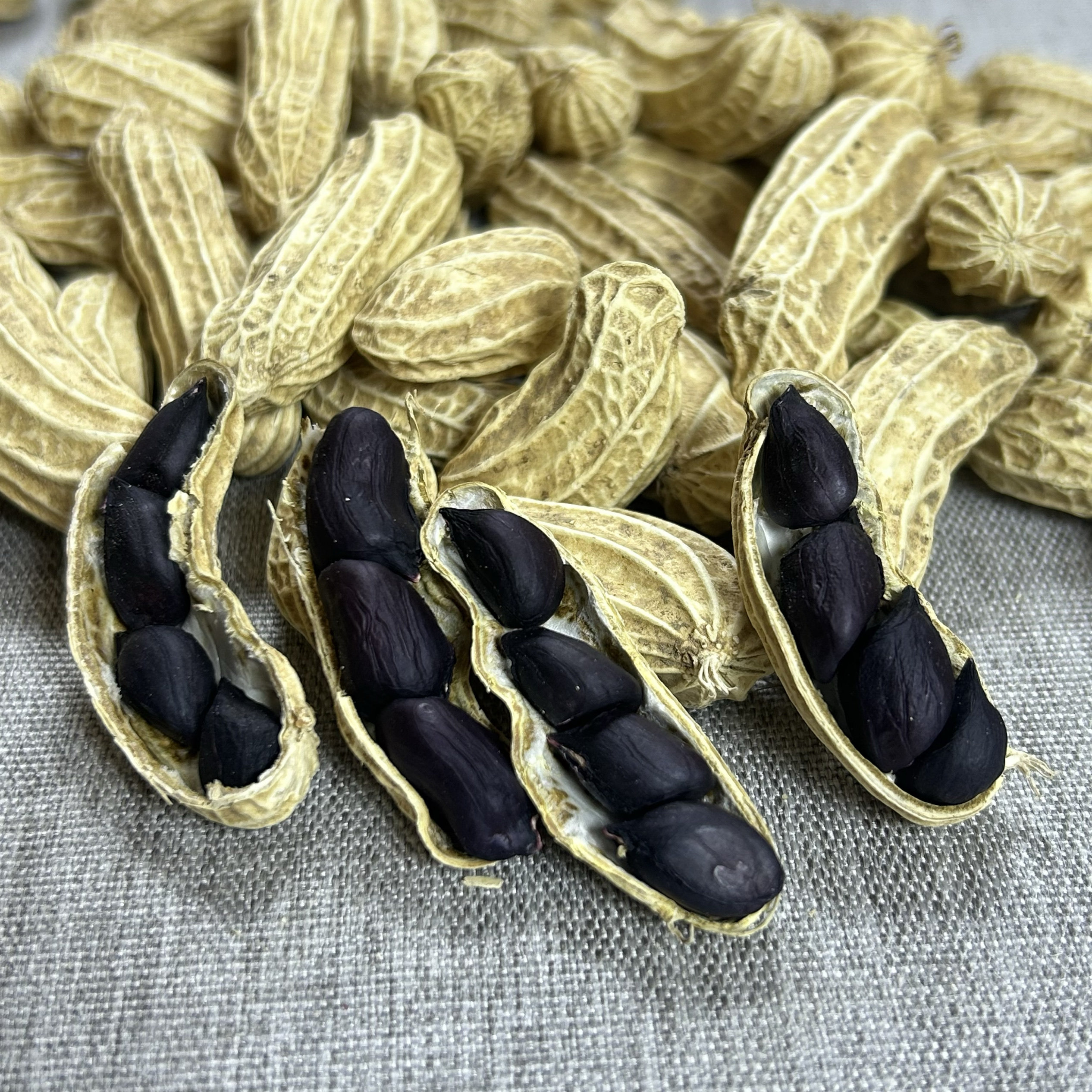 云南农家自种新鲜富硒黑花生 带壳晒全干野地糯花生 原味生吃包邮,水产肉类/新鲜蔬果/熟食,新鲜花生,淘宝优惠券,粉丝福利购,淘宝优惠卷