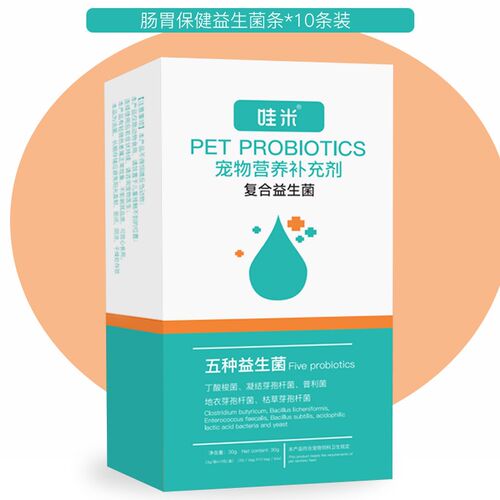 灰泰迪犬用益生菌粉宠物犬用小幼犬成犬肠道活性菌狗狗益生元