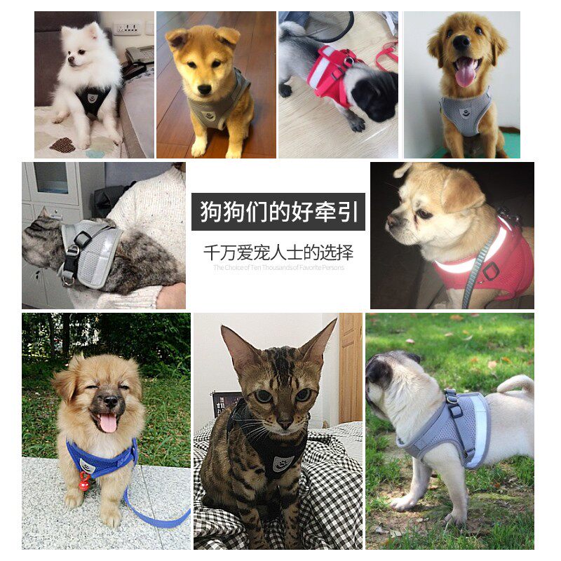 狗狗牵引绳狗链反光背心胸背带狗链子狗绳子遛狗绳小型犬泰迪用品