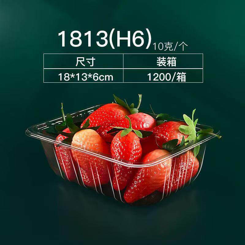 一次性塑料包装盒无盖一斤装水果盒1813水果托盘500克装果切盒