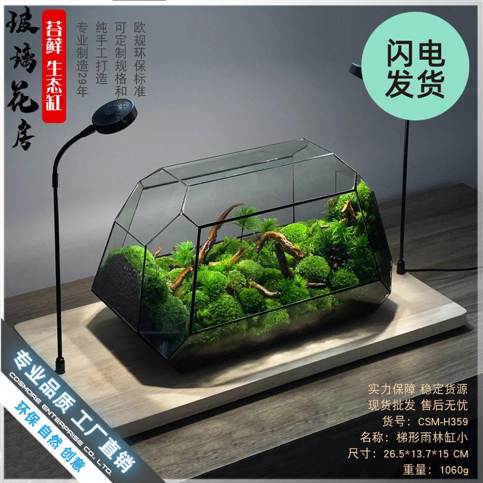 苔藓微景观生态缸雨林造景玻璃罩生态盒子家居摆件森林花盆器皿