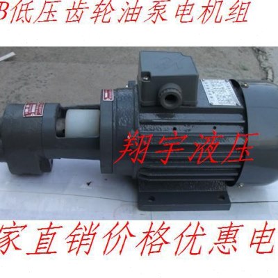 TX6-6齿轮油泵电机组/输油泵电机组/抽油泵/B6GW高温油泵550W