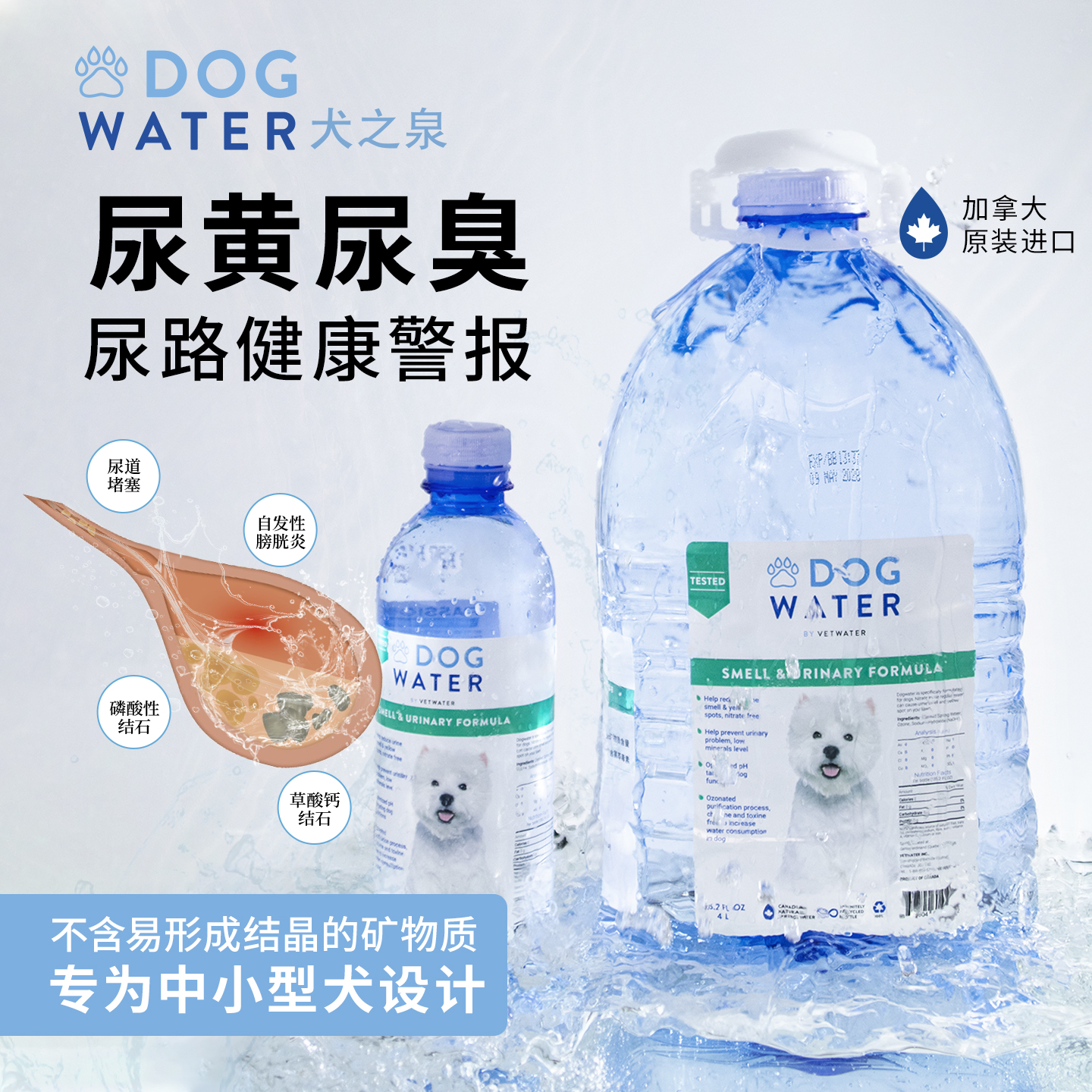 加拿大Dogwater犬之泉狗狗饮用水