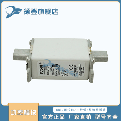 快速熔断器保险丝170M1565 1566 1567 1568 1569 1570 1571 1572