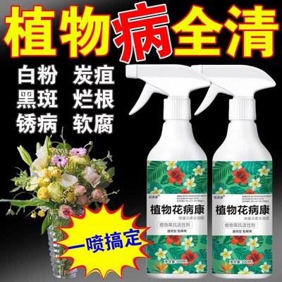 花病康喷剂花卉植物多菌菌灵杀菌剂喷雾兰花月季黄叶Y黑斑病百菌