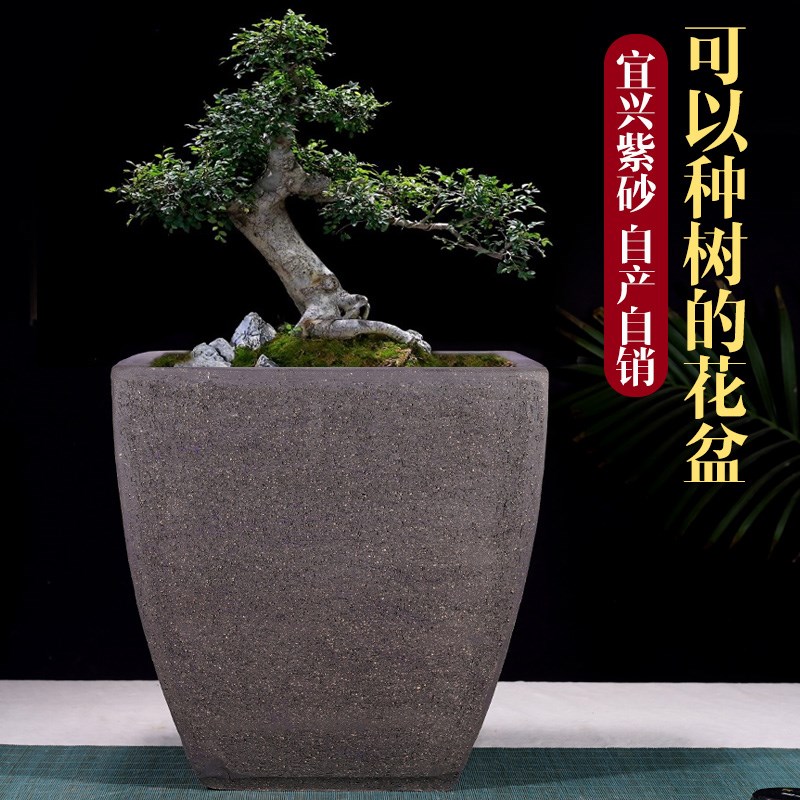特大号紫砂粗陶花盆户外庭院阳台透气养根大口径陶瓷种菜种树花盆
