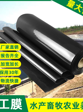 鱼塘防渗膜防水膜黑色厚塑料布养殖鱼塘专用土工膜池塘藕塘防水布