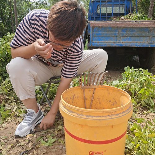 摘菜剥毛豆神器采摘机摘毛豆机铁耙扒毛豆收割机家用工具花生夹子