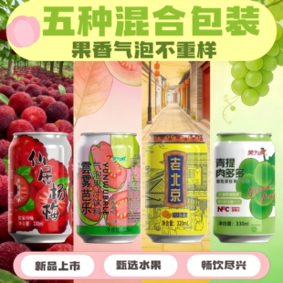 【振兴东北】多口味汽水青提肉多多冰菠萝仙居杨梅白桦树汁芭乐