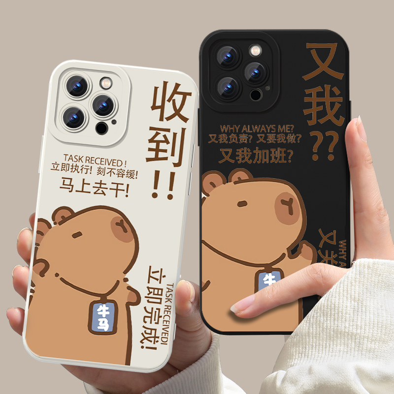 卡皮巴拉卡通周边又我收到