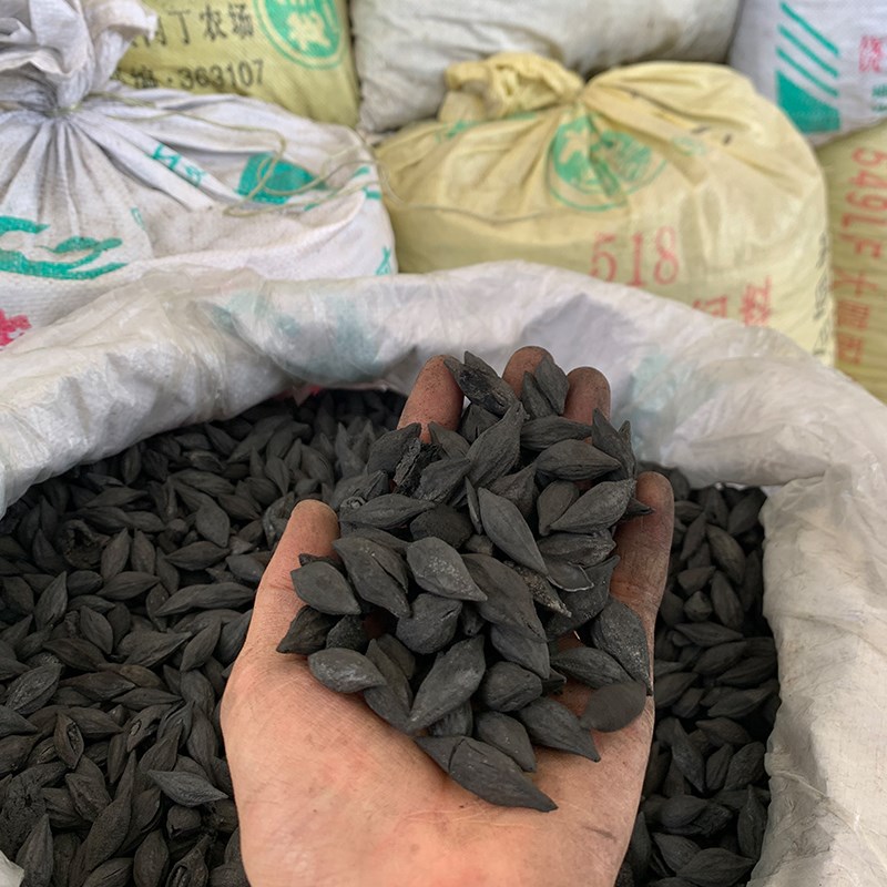 煮茶碳橄榄炭功夫茶炭枣核炭龙眼炭无烟环保风炉碳耐烧果木炭