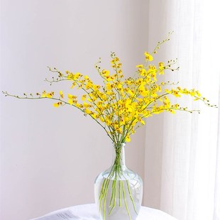 跳舞兰鲜花瓶插花文心兰家庭黄色婚庆水养鲜切花兰花办公桌书房