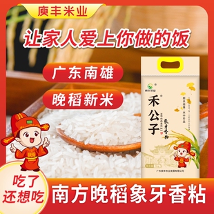 禾公子象牙香粘