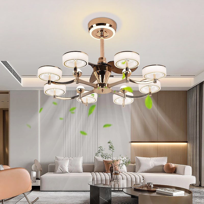 轻奢时尚客厅电风扇吊灯8头智能语音书房间卧室吊扇灯2024年新款