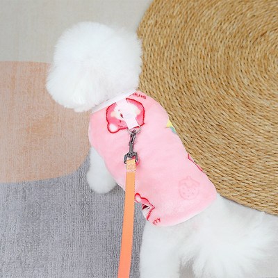 小狗狗马甲秋季泰迪比熊背心可牵引中型犬雪纳瑞宠物博美衣服冬装