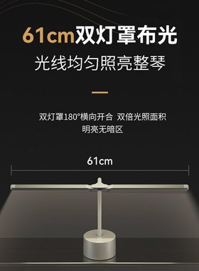 孩视宝钢琴灯练琴专用护眼台灯落地可充电儿童阅读照明乐谱CS20-P