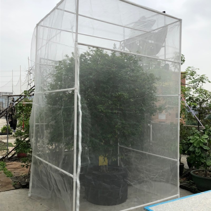 果树防虫网蔬菜大棚杨梅琵琶樱桃防蚊果蝇苍蝇定制蚊帐型网罩纱网