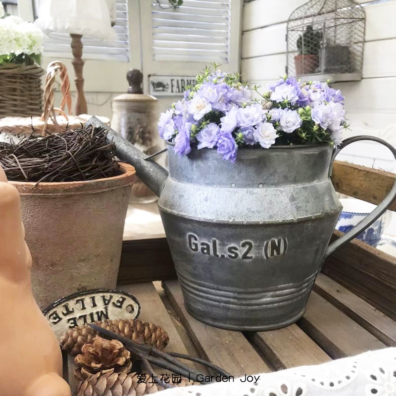 爱上花园铁艺做旧花盆 TG铁皮花盆花桶 铁皮原色水壶