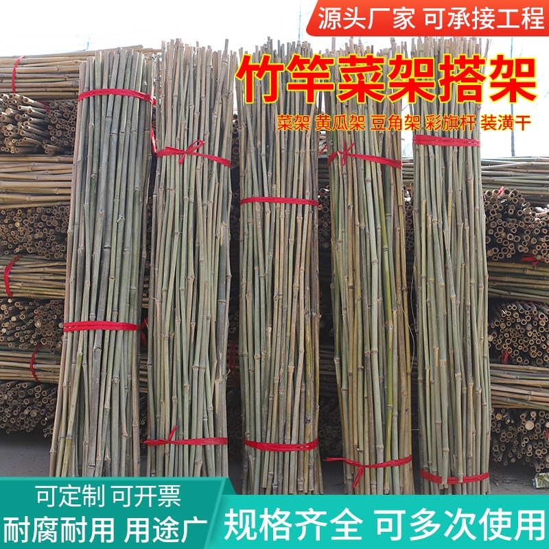 竹竿菜园搭架户外竹杆架种菜彩旗杆豆角架黄瓜架菜架小竹子细竹竿