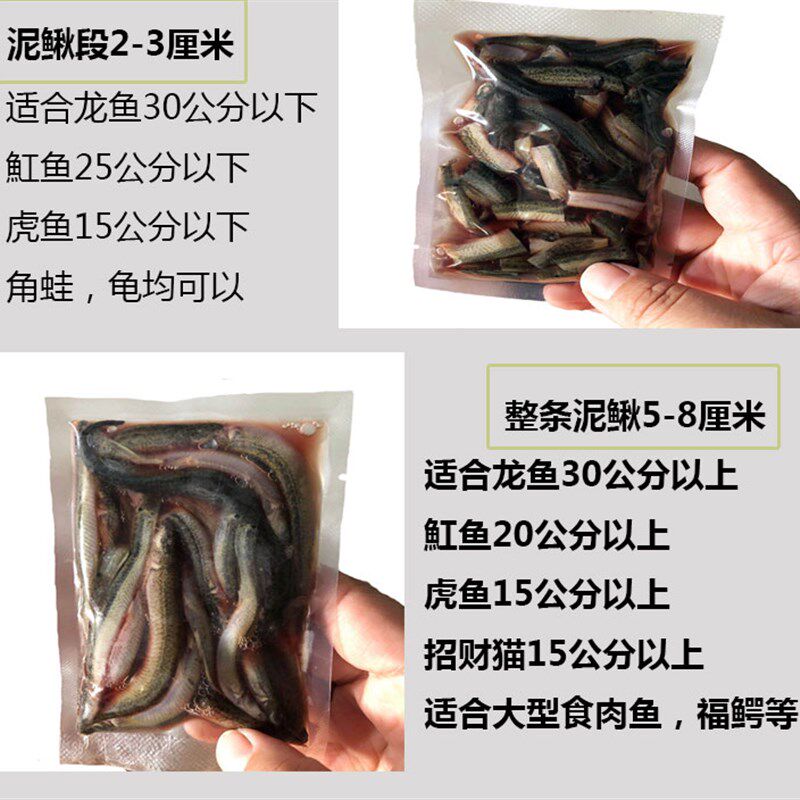 冷冻小泥鳅去黏液泥鳅段龙鱼魟鱼虎鱼饲料冻虾速冻淡水河虾鱼食图片