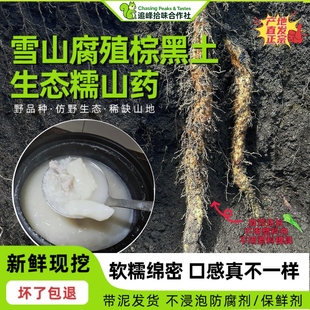 特产野品种雪山生态糯山药现挖新鲜高海拔雅安宝兴山药非铁棍山药