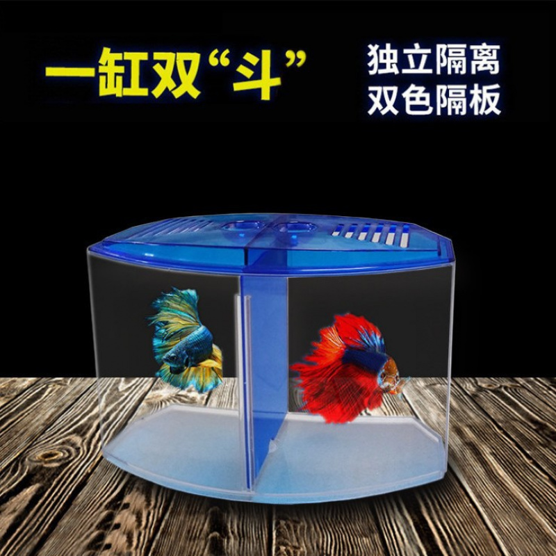 大号双格斗鱼盒生态斗鱼缸水族箱塑料隔离盒繁殖盒斗鱼孔雀鱼