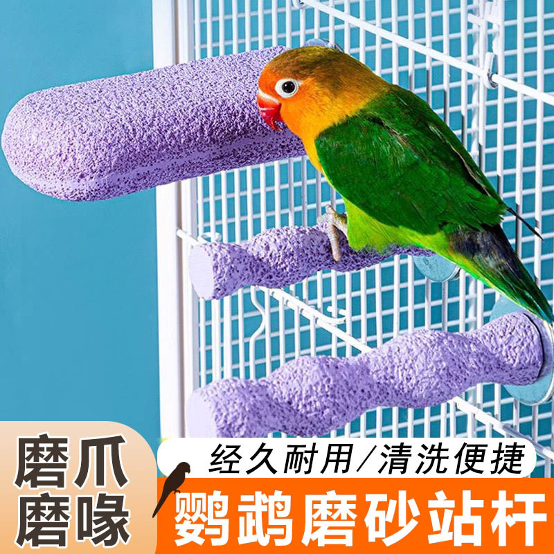 【二合一】鹦鹉站杆磨牙棒