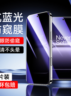 适用一加13T蓝光防窥膜护眼玻璃钢化膜oneplus全屏全覆盖无白边一加13T手机膜保护隐私高清防摔1加防窥保护膜