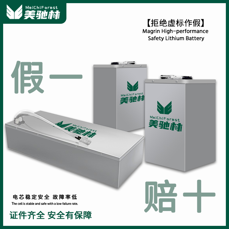 电动车锂电池48V60V72V两轮三轮外卖快递用汽车级磷酸铁锂电瓶车