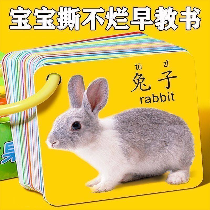 45张撕不破婴幼儿童宝宝认知早教益智认识字动物卡片撕不烂0-3岁
