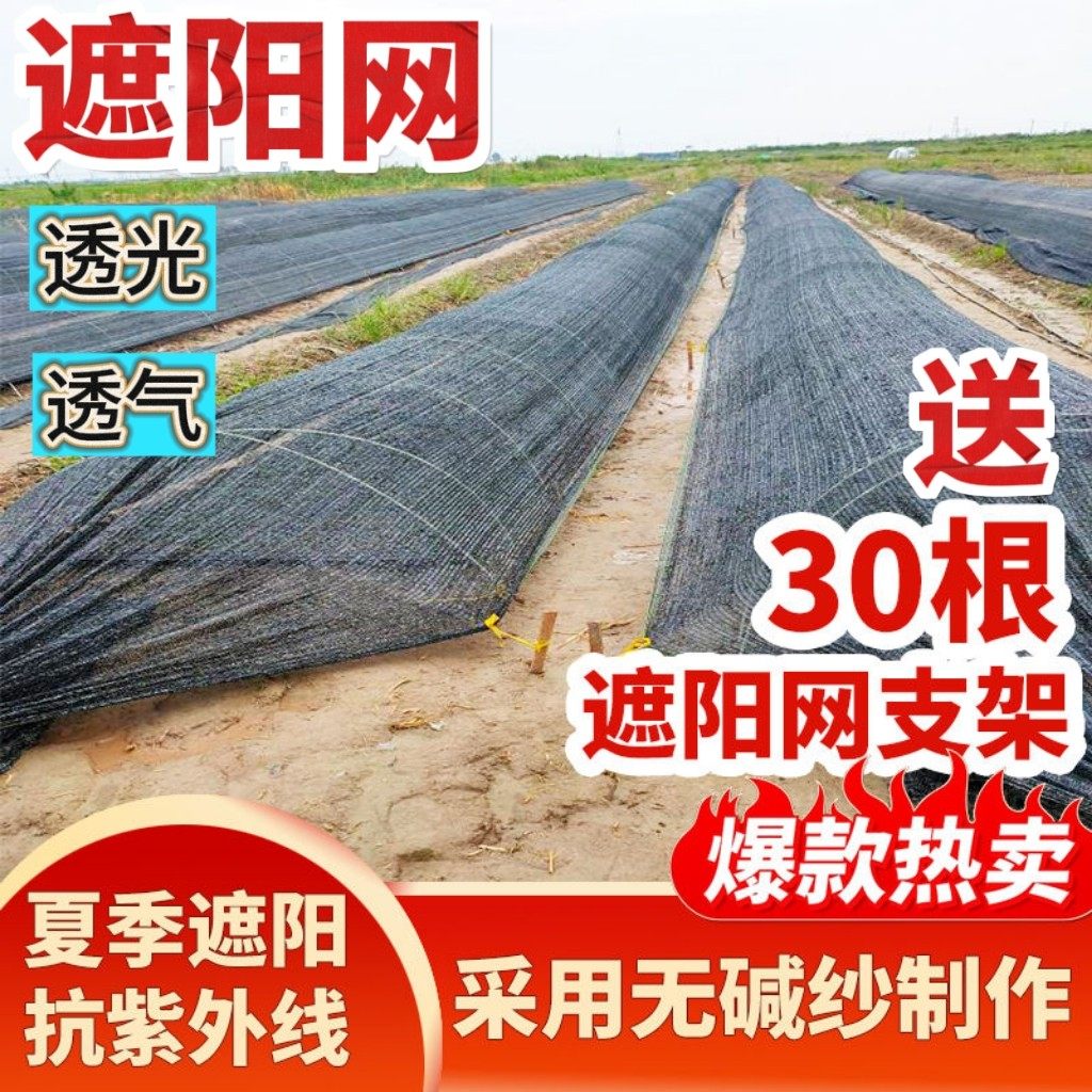 【送纤维杆】夏季热卖太阳网大棚遮阳拱棚遮阳花卉棚蔬菜棚菜园夏,农机/农具/农膜,农用遮阳网,淘宝优惠券,粉丝福利购,淘宝优惠卷