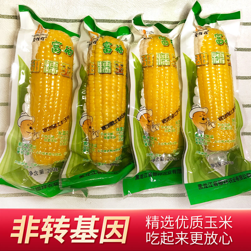 正宗东北黄糯玉棒真空包装白糯玉米早餐代餐即食粘玉米熟黏玉米