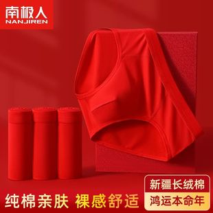 南极人本命年大红男士内裤纯棉抗菌大码短裤头属蛇男生红色三角裤
