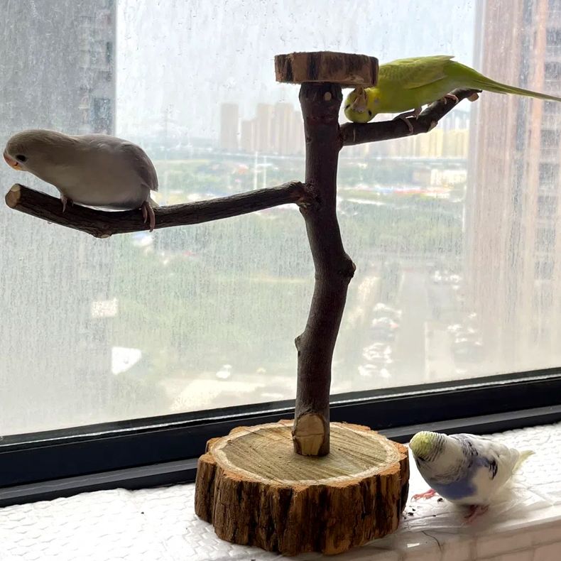 鹦鹉站杆架鸟站架树枝训练架子牡丹架杆玄凤站杠落地式桌面鸟架立