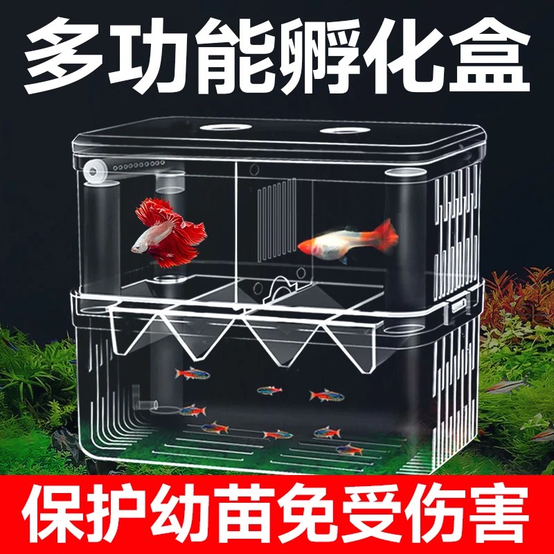 鱼缸隔离盒孔雀鱼产卵盒热带鱼小鱼幼鱼孵化盒产卵孵化产房小鱼苗