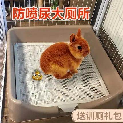 兔子厕所大号防喷尿围栏宠物小兔兔荷兰猪拉屎尿便便盆专用厕所品